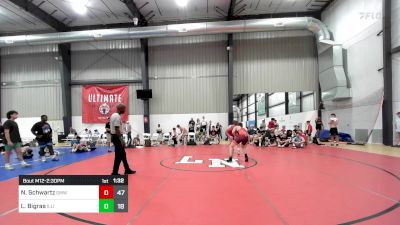 175 lbs Rr Rnd 5 - Nikolas Schwartz, Gold Medal WC vs Loki Bigras, Illinois Cornstars