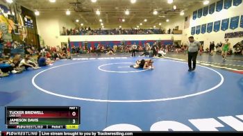 157 lbs Quarterfinal - Jameson Davis, Selkirk vs Tucker Bridwell, Lake City