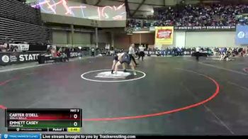 3A 152 lbs Cons. Round 3 - Carter O`Dell, Walla Walla vs Emmett Casey, Peninsula