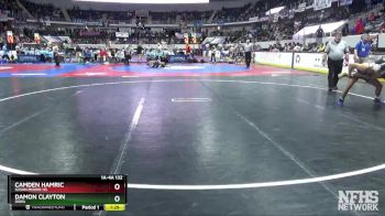 1A-4A 132 Quarterfinal - Damon Clayton, Dora vs Camden Hamric, Susan Moore Hs