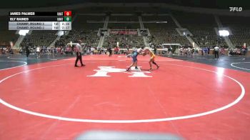 149 lbs Champ. Round 2 - James Palmer, Unattached vs Ely Raines, Reinhardt University (GA)
