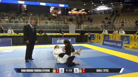 Sara E. Tittle vs Dana Nobuko-Tsuruda Stevens 2025 Pan Jiu Jitsu IBJJF Championship