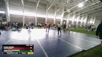 165 lbs Champ. Round 2 - Deacon Ludvigson, Pleasant Grove vs Juan Gomez, Mountain Ridge