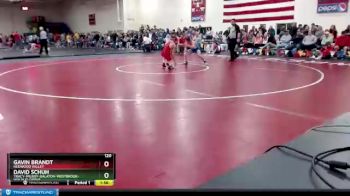 120 lbs Champ. Round 2 - David Schuh, Tracy-Milroy-Balaton-Westbrook-Walnut-Grove vs Gavin Brandt, Redwood Valley