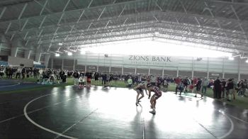 165 lbs Quarterfinal - Alex Crawley, Canyon View vs Lisiate Valeti, Springville