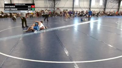 Silver 141 lbs Quarterfinal - Avery Femrite, Wisconsin-Platteville vs Cole Bozile, St. Cloud State