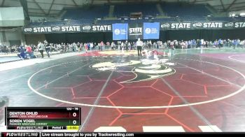 78 lbs Cons. Round 4 - Denton Omlid, Cherry Creek Wrestling Club vs Soren Vogel, Punisher Wrestling Company