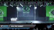 BCA Tiny Summit [2022 Tiny - Contemporary/Lyrical - Small Day 2] 2022 CSG Schaumburg Dance Grand Nationals