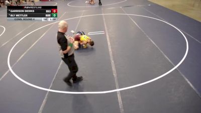 16U - 132 lbs Cons. Round 4 - Garrison Dierks, Mankato East vs Bly Mettler, Mankato West