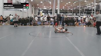 79 lbs Rr Rnd 1 - Mike Anello, Ruthless - MS vs Andrew Jones, Clearview - MS
