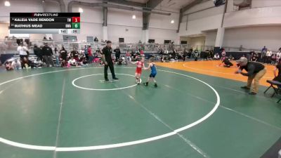 48 lbs Cons. Round 3 - Kaleia Vade Rendon, Takedown-City Wrestling vs Mathius Mead, Boneyard Wrestling Academy