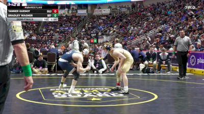 133 lbs Semifinal - Tanner Guenot, Bald Eagle Area vs Bradley Wagner, Mifflinburg