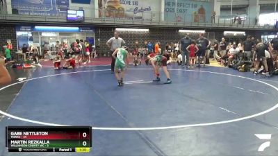 80 lbs Quarterfinals (8 Team) - Gabe Nettleton, TNWCC vs Martin Rezkalla, Williamson County WC