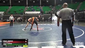 195 lbs Quarterfinal - Cole Carter, Jasper vs Stacy Jenkins, Alexandria HS