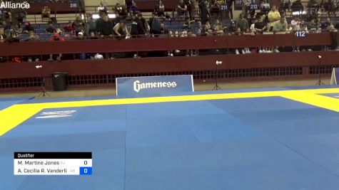 Michaela Martine Jones vs Anesa Cecilia R. Vanderlipe 2024 Pan IBJJF Jiu-Jitsu No-Gi Championship