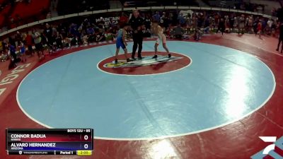 85 lbs Quarterfinal - Connor Badua, Hawaii vs Alvaro Hernandez, Arizona