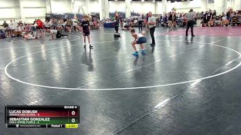 113 lbs Round 6 (10 Team) - Sebastian Gonzalez, Eagle Empire Purple vs Lucas Dobush, Oswego High School