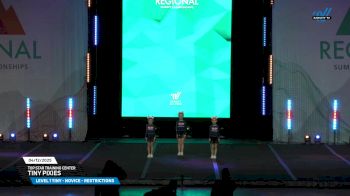 Top Star Training Center - Tiny Pixies [2025 L1 Tiny - Novice - Restrictions 04/12/2025] 2025 The Midwest Regional Summit