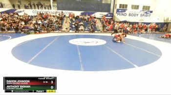 125 lbs Champ. Round 1 - Anthony Bigham, Elmhurst College vs Davion Johnson, North Central College