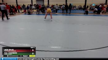 174 lbs Quarterfinal - Mac Chambers, Cloud County vs Jack Gillis, Wisconsin-La Crosse