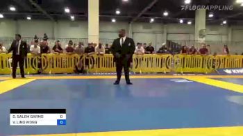 DAVID SALEM GARMO vs VINICIUS LINO WONG 2022 American National IBJJF Jiu-Jitsu Championship