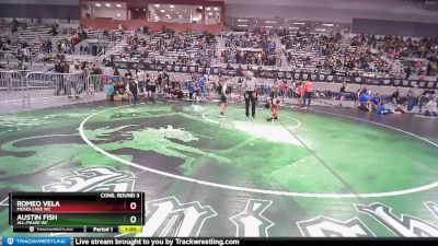 67 lbs Cons. Round 3 - Romeo Vela, Moses Lake WC vs Austin Fish, All-Phase WC