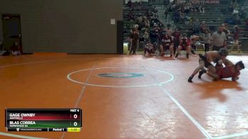 162 lbs Round 3 - Blas Correa, Homewood Hs vs Gage Ownby, Hartselle