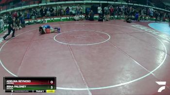 104-114 lbs Quarterfinal - Irina Paloney, Nevada vs Adelina Reynoso, Arizona
