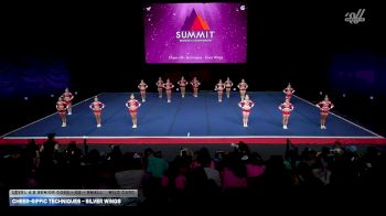 Cheer-riffic Techniques - Silver Wings [2026 L4.2 Senior Coed - D2 - Small Wild Card] 2026 The D2 Summit
