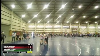 125 lbs 1st Place Match - Ian Burnham, Box Elder Stingers vs Nathan Cefalo, Box Elder Stingers