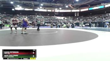 132 lbs 7th Place Match - Gavin Peterson, West Side vs Nate Galloway, Rocky Mountain