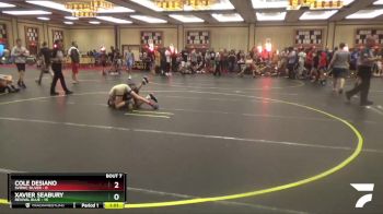 91 lbs Round 3 (6 Team) - Xavier Seabury, Revival Blue vs Cole Desiano, SVRWC Silver