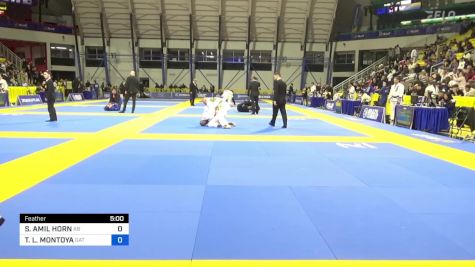 THOMAS L. MONTOYA vs SHANNON AMIL HORN 2024 Master International IBJJF Jiu-Jitsu North American Championship