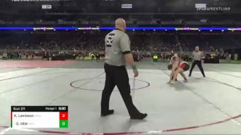 D4-215 lbs 3rd Place Match - Grady Iobe, Union City vs Kory Lambson, Sandusky