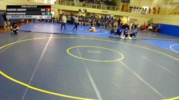 141 lbs Round 1 (6 Team) - Dakota Gibson, Cloud County Community College vs Karlin Ducote, Southeast Community College