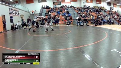 175 lbs Quarterfinal - De`vaughn Williams, Washington (Massillon) vs Ayden Meade, Manchester