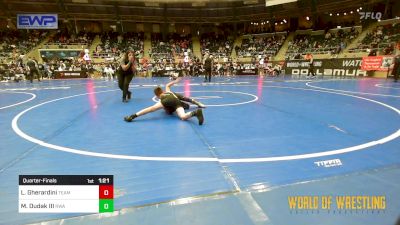 76 lbs Quarterfinal - Landon Gherardini, Team Grand Valley Elite vs Michael Dudak III, Region Wrestling Academy