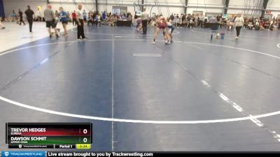 Elite 133 lbs Cons. Round 4 - Dawson Schmit, Upper Iowa vs Trevor Hedges, Eureka