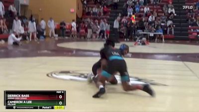 125 lbs Round 3 - Cameron A Lee, Millikin vs Derrick Bass, Grand View (Iowa)