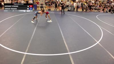 113 lbs Champ. Round 1 - Anthony Strong, WI vs Adrian Treziok, MN