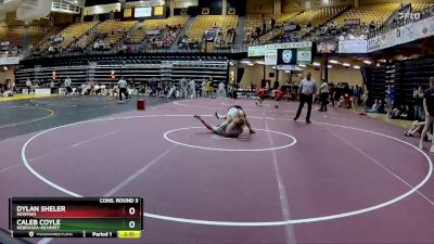 125 lbs Cons. Round 3 - Dylan Sheler, Newman vs Caleb Coyle, Nebraska-Kearney