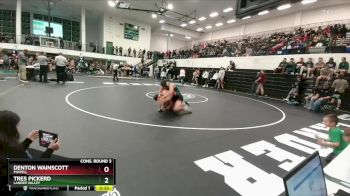 190 lbs Cons. Round 3 - Tres Pickerd, Lander Valley vs Denton Wainscott, Powell