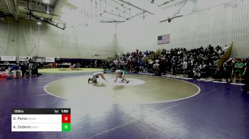 138 lbs Round Of 16 - Dan Perez, Demarest vs Antonio Cedeno, Pascack Valley