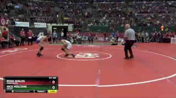 D1-120 lbs Semifinal - Nick Molchak, Solon vs Ryan Avalos, Perrysburg