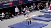 Danilo Viciana - Pommel Horse, Cartersville Twister - 2021 US Championships