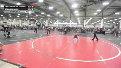 52 lbs Semifinal - True Liam Valles Cormier, Team Aggression vs Roman Rosales, Tucson Cyclones