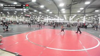 52 lbs Semifinal - True Liam Valles Cormier, Team Aggression vs Roman Rosales, Tucson Cyclones