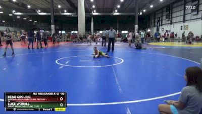 50 lbs Cons. Round 2 - Luke Worall, Great Bridge Wrestling Club vs Beau Grguric, North Carolina Wrestling Factory