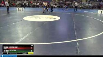 126 lbs Quarterfinal - Gabe Mortensen, Minot vs Joryn Richter, St. Mary`s