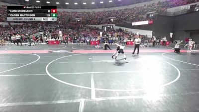 78 lbs Champ. Round 2 - Caden Martinson, Tomah vs Luke Mickelson, New Richmond